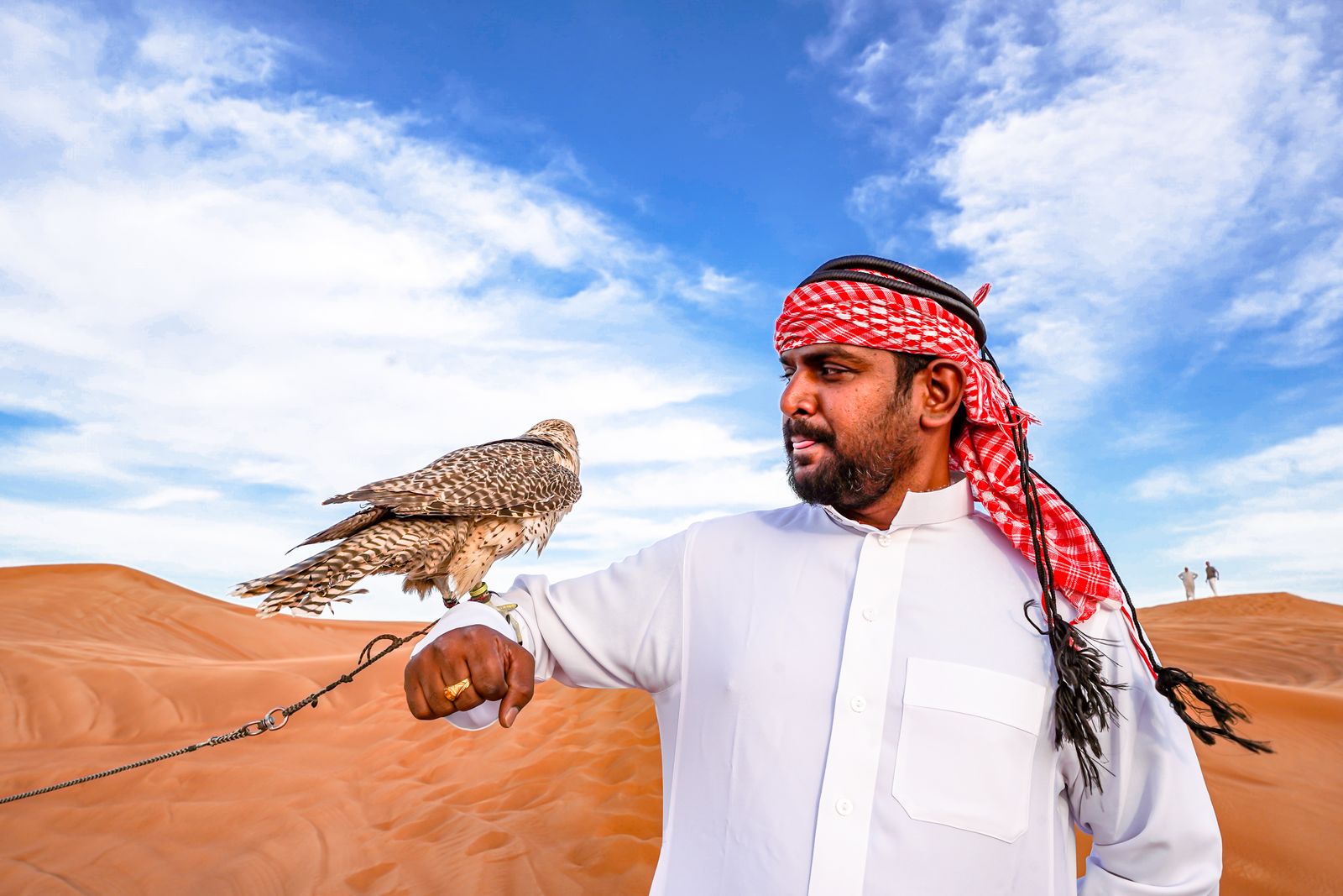Visual for Fiery Falcons of Fujairah